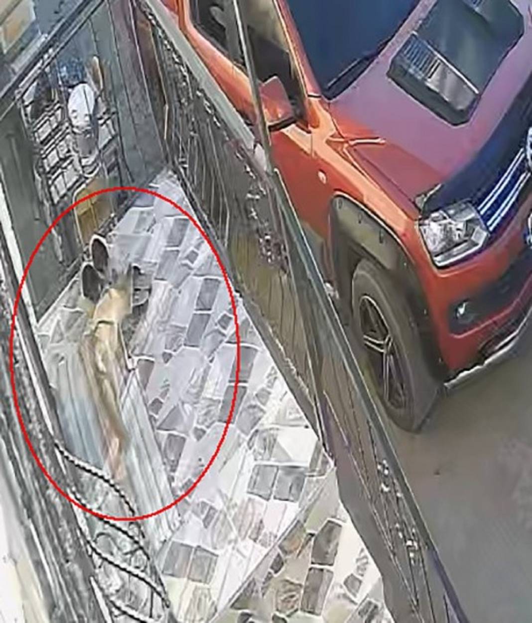 Konya'da gülümseten olay! Terlikleri bir bir çalınıyordu, hırsız ne kedi ne köpek çıktı 2